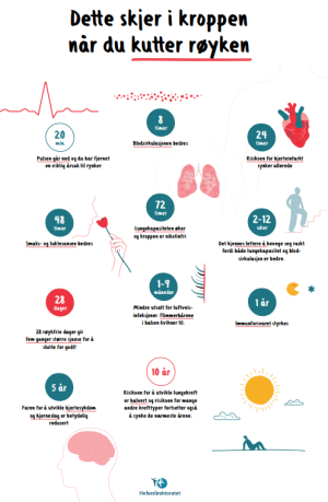 Bildet viser en miniversjon av plakaten med korte tekster knyttet til hva som skjer i kroppen på ulike tidspunkt etter at man kutter røyken.