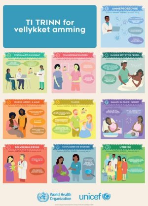 Plakat med sammendrag av ti ulike plakater om tilrettelegging for amming i sykehus.