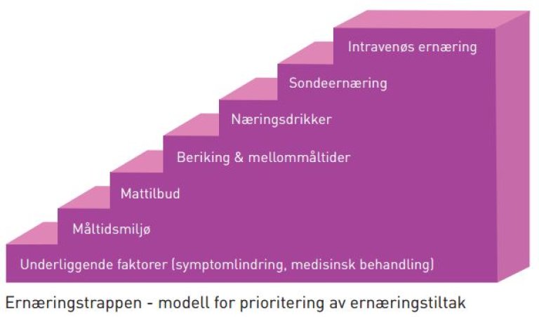 Tegning som viser en trapp med syv trinn som har hver sin tittel. Nedenfra og opp heter trinnene underliggende faktorer, måltidsmiljø, mattilbudet, berikning og mellommåltider, næringsdrikker, sondeernæring og intravenøs ernæring.