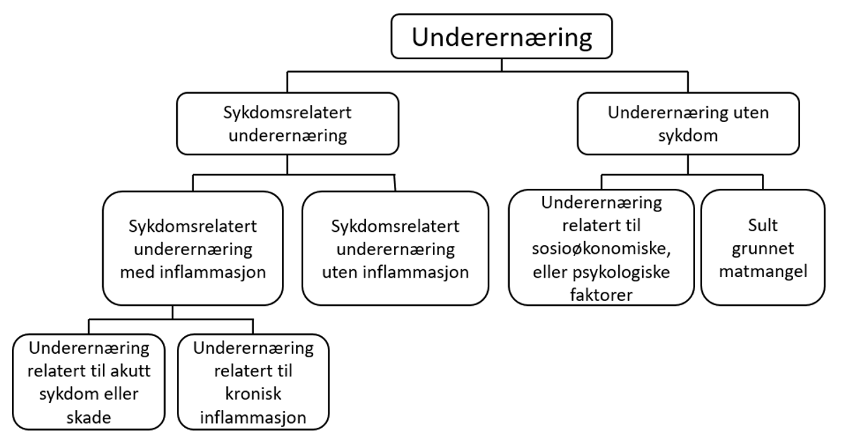 Inndeling av underernæring. Basert på en figur fra (1).