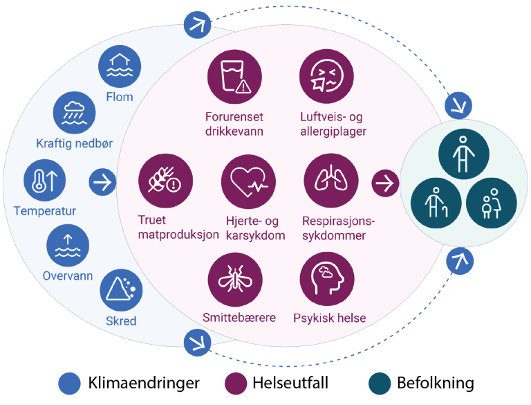 Figuren viser at klimaendringer som flom, nedbør, temperatur, overvann, skred påvirker befolkningen direkte, og også via helseutfall som forurenset drikkevann, luftveis- og allergiplager, truet matproduksjon, hjerte- og karsykdom, respirasjonssykdommer, smittebærere og psykisk helse.