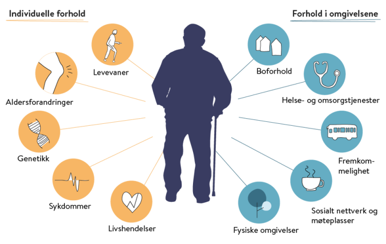 Tegning som viser at en del inviduelle forhold (som levevaner, genetikk, livshendelser) og forhold i omgivelsene (som boforhold, fremkommelighet, sosial nettverk) påvirker eldres helse.