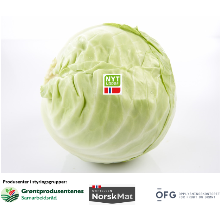Logobilde til nominasjonssøknad. Bildet er av hodekål med logoen Nytnorge.Under bildet står "Produsenter i styringsgrupper: Grøntprodusentenes samarbeidsråd, Stiftelsen NorskMat og Opplysningskontoret for frukt og grønt."