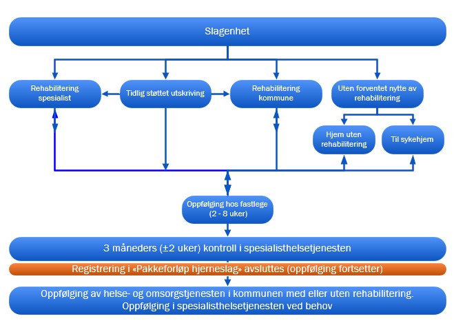 Skjematisk fremstilling av oppfølgings- og rehabiliteringsfasen i pakkerforløp hjerneslag