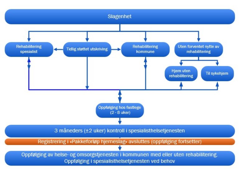Pakkeforløp hjerneslag - Skjematisk fremstilling oppfølging og rehabilitering.jpg