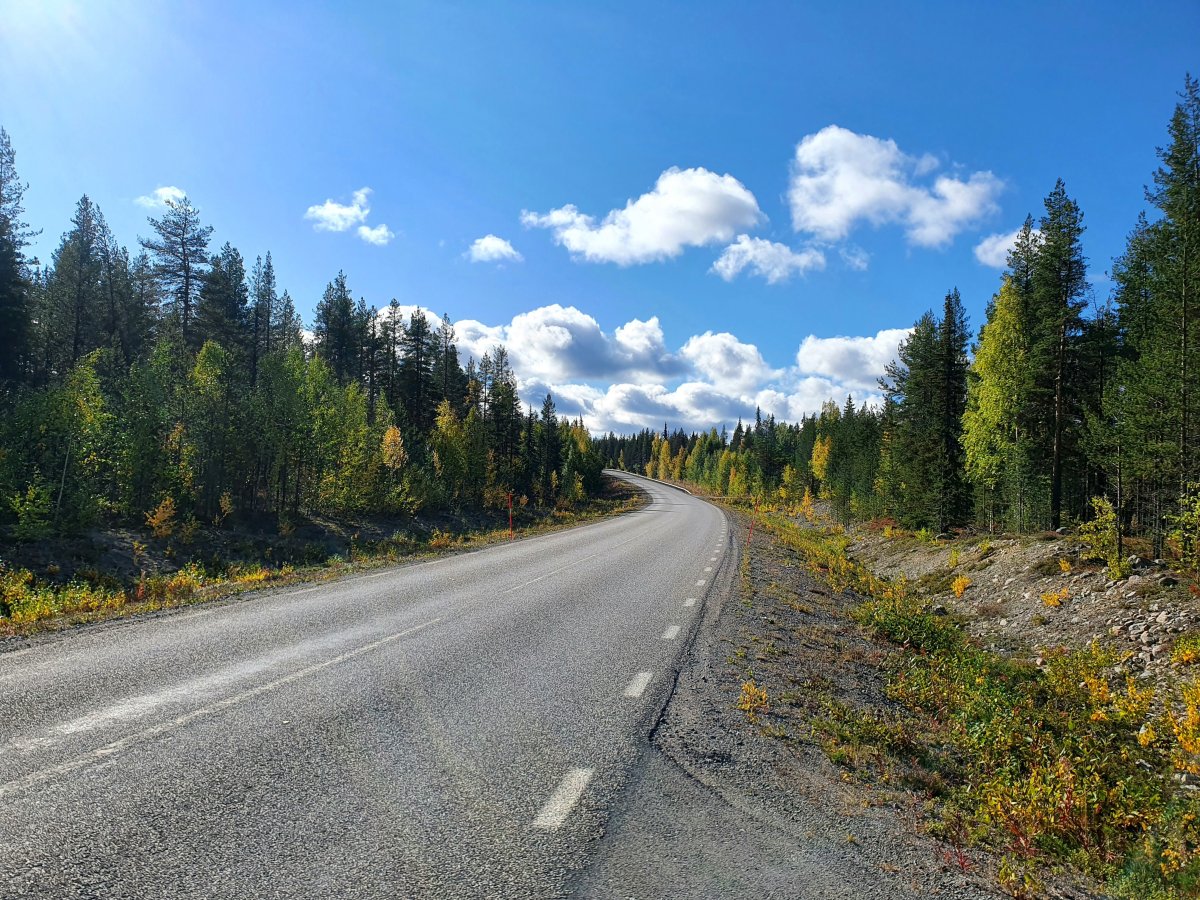 llustrasjonsbilde av veien videre med gjenåpning av samfunnet Foto: Unsplash