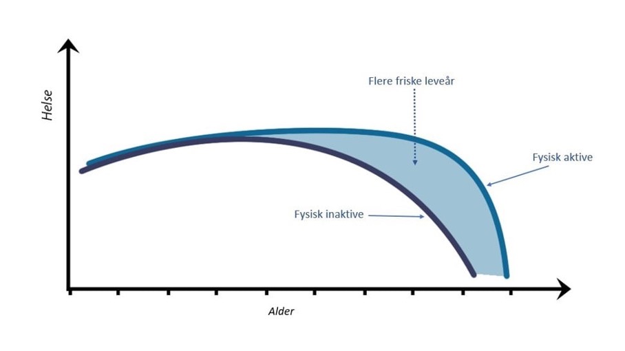 Figuren viser med grafer hvordan fysisk aktive personer kan forvente flere friske leveår enn personer som er fysisk inaktive.