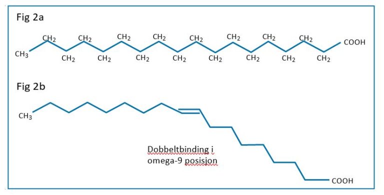 Figur 2: En mettet (2a) og en umettet (2b) fettsyre. Figuren er hentet fra vedlegg til Nasjonalt råd for ernærings rapport om fett fra 2017.
