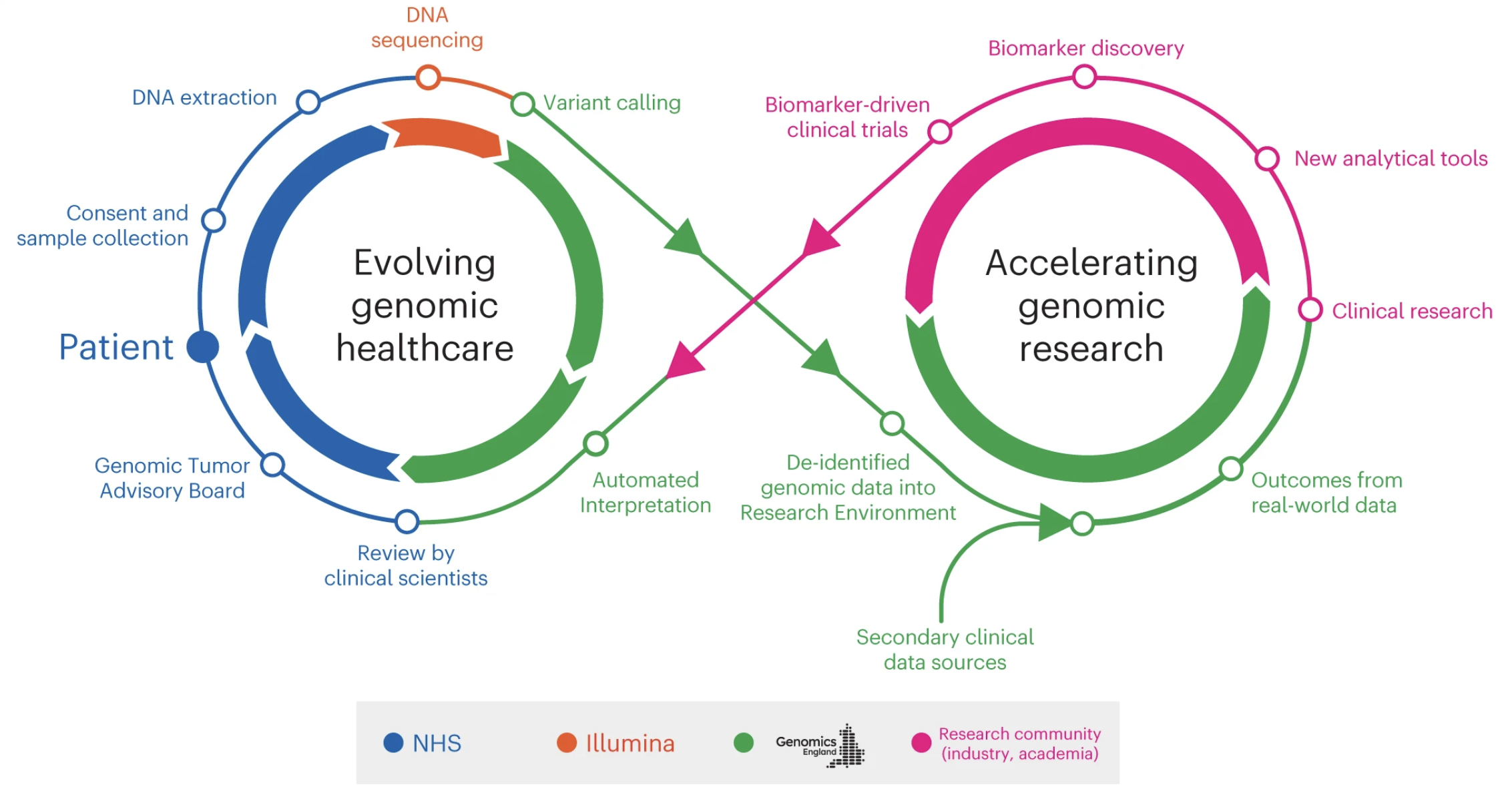 Illustrasjonen viser prinsippet bak konseptet "infinitiy loop", som&nbsp;er automatisert og gjensidige utvikling av genombasert helsehjelp og forskning. Eksempelet er hentet fra kreftområdet.  Til venstre er en sirkel av piler som viser trinnene i utviklingen av genombaserte helsetjenester: Genomics England tolker genomdata automatisk og leverer resultatet til National Health Service (NHS). NHS gjennomfører deretter fire trinn: Medisinske forskere går gjennom tolkningen. Vurdering i et "genomic Tumor Advisory Board". Pasientsamtykke og blodprøvetaking for DNA-undersøkelse. Uttrekk av DNA. Illumina utfører deretter DNA-sekvensering. Siste trinn i helsehjelp-sirkelen er variant calling gjennomført av Genomics England.  Fra dette punktet peker pilen videre til høyre, der en ny sirkel viser trinnene som akselererer genomforskning: Genomics England legger avidentifiserte DNA-data inn i et forskningsmiljø, og dataene kobles til sekundære kliniske datakilder. Opplysninger om hvordan det gikk med pasienten legges til. Forskningsmiljøene overtar og gjennomfører klinisk forskning, utvikler nye analytiske verktøy, identifiserer nye biomarkører og gjennomfører biomarkør-drevet klinisk forskning. Resultatet av forskningen går tilbake til sirkelen for genombaserte helsetjenester, og dermed er løkken sluttet.