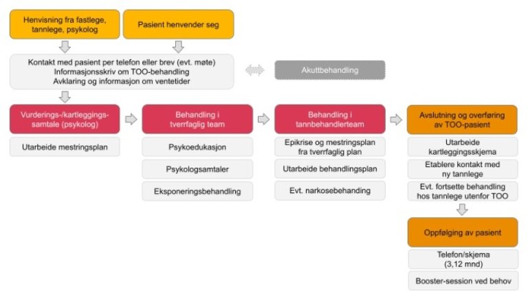Hovedtrinn i behandlingsforløpet av pasienter.jpg
