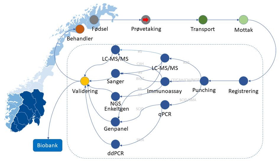 Figur 1.1.3: Nyfødtscreeningen er et komplekst system avanserte analyser, spesialisert bioinformatikk, spesialisert barnemedisin og logistikk  Nyfødtscreeningprogrammet er et komplekst nasjonalt system som starter med informasjon før fødsel, prøvetaking, nasjonal dekkende logistikk, avanserte analysemetoder, spesialisert bioinformatikk og barnemedisin, og sikker oppbevaring av prøvene. På tross av kompleksiteten har nyfødtscreeningprogrammet en median svartid på under 7 dager etter fødsel (medregnet 48-72 timer venting før prøvetaking, transporttid og helger/helligdager). I praksis er de aller fleste prøver ferdig analysert første dag prøven kommer til laboratoriet ved Rikshospitalet.