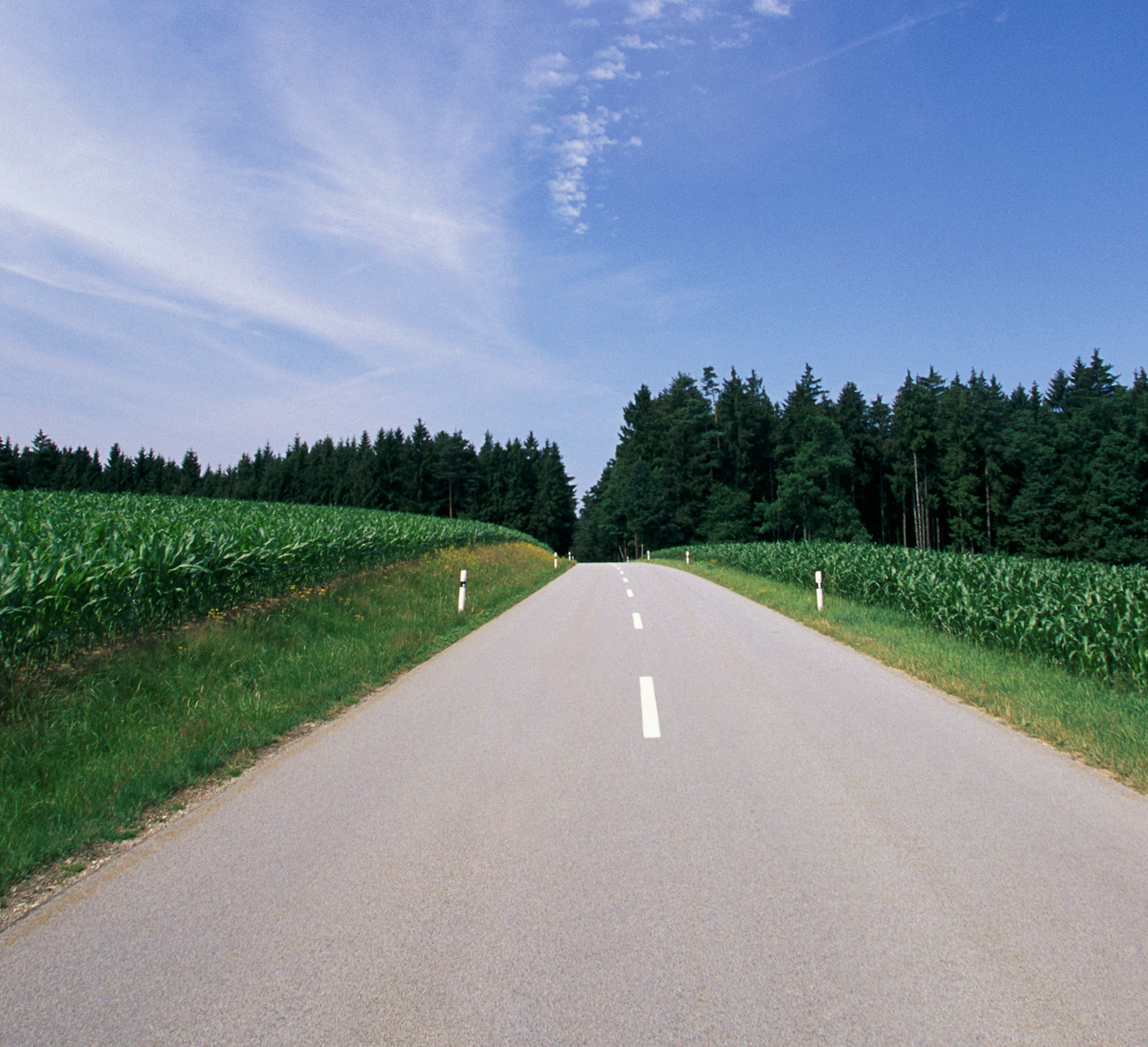 Landevei gjennom åker med skog i bakgrunnen