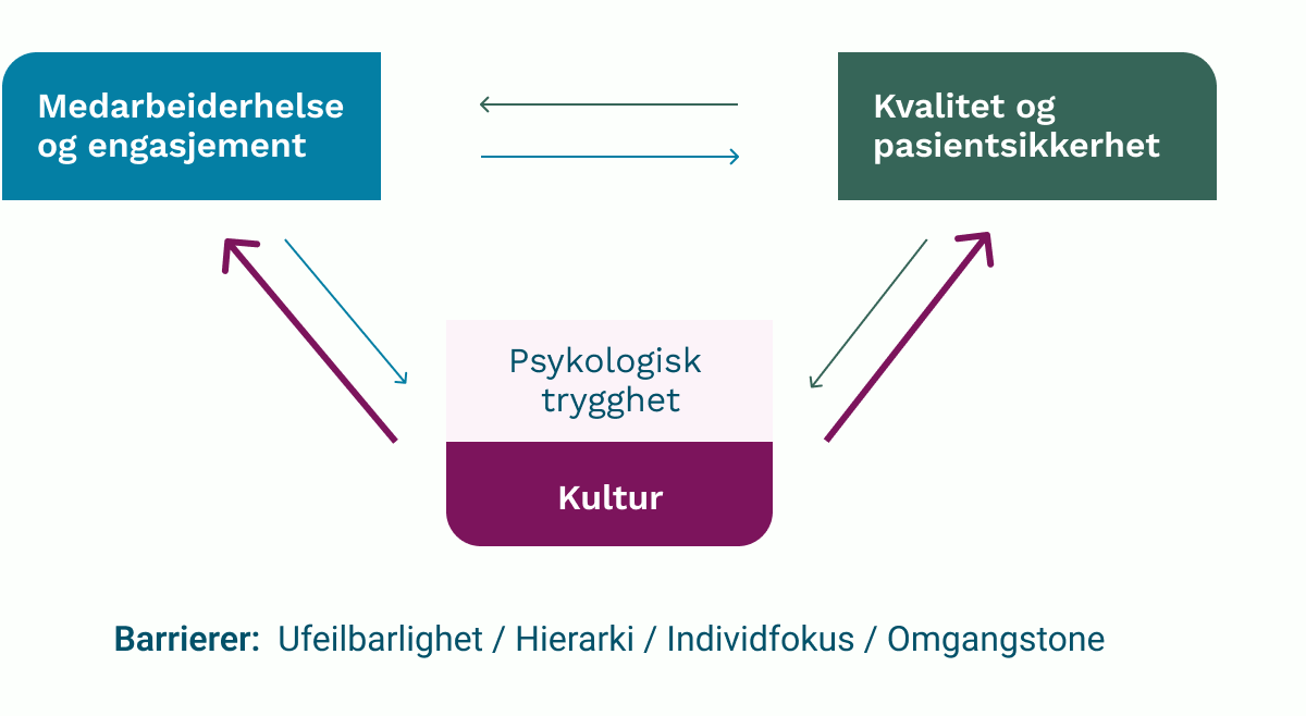 Modellen viser sammenhengen mellom kultur og medarbeidernes helse, engasjement og trivsel på den ene siden, og kvalitet og pasientsikkerhet på den andre. Psykologisk trygghet er en sentral variabel. Ufeilbarlighet, hierarki, individfokus, og en omgangstone med ufin kommunikasjon er hindringer for en kultur med psykologisk trygghet.