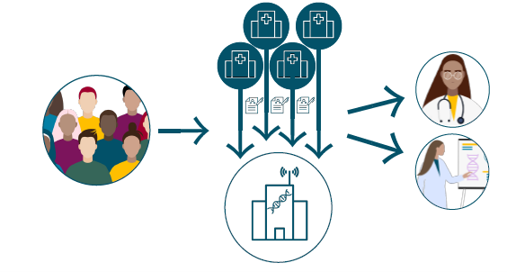 Figuren viser dataflyten fra pasient til virksomhetene (sykehusene), som er dataansvarlig. Genomsenteret er databehandler på vegne av virksomhetene og dette krever databehandleravtaler mellom virksomhetene og genomsenteret. Det må blant annet avklares av de dataansvarlige hvordan data skal tilgjengeliggjøres til definerte formål (helsehjelp og sekundærbruk).