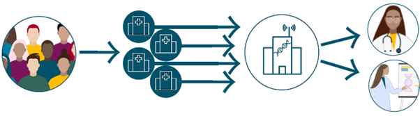 Figuren viser dataflyten fra pasientene til virksomhetene (sykehusene), som overfører data til genomsenteret som dataansvarlig. Genomsenteret kan tilgjengeliggjøre data til helsehjelp og sekundærformål.