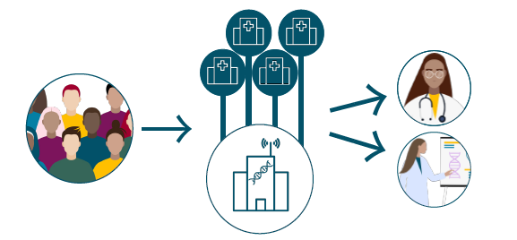 Figuren viser dataflyten fra pasienten til virksomhetene (sykehusene). Dataansvaret er delt mellom den aktuelle virksomheten og genomsenteret. Det avklares av de dataansvarlige hvordan data skal tilgjengeliggjøres til definerte formål (helsehjelp og sekundærbruk).