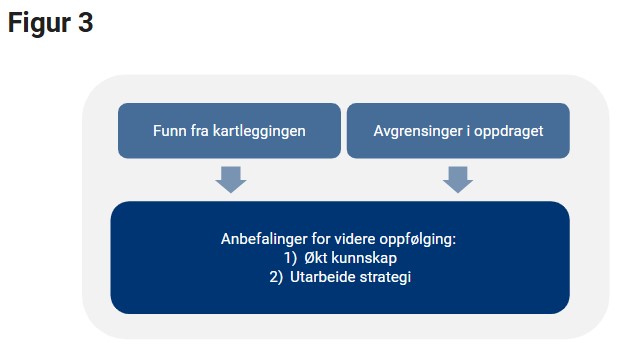 Figur av arbeidsprosess for anbefalinger for videre oppfølging. Funn fra kartlegging og avgrensinger i oppdraget leder til anbefalinger for videre oppfølging: 1. økt kunnskap og 2. utarbeide strategi