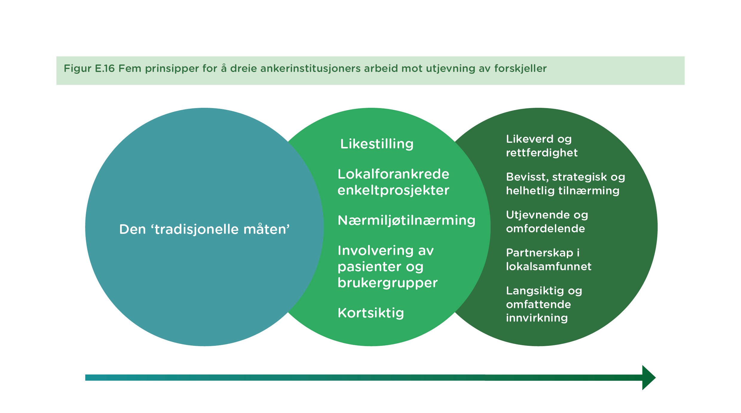 Figur E.16 Fem prinsipper for å dreie ankerinstitusjoners arbeid mot utjevning av forskjeller