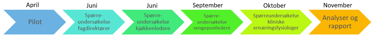 Figur 1. Illustrasjon av gjennomføring av oppdraget