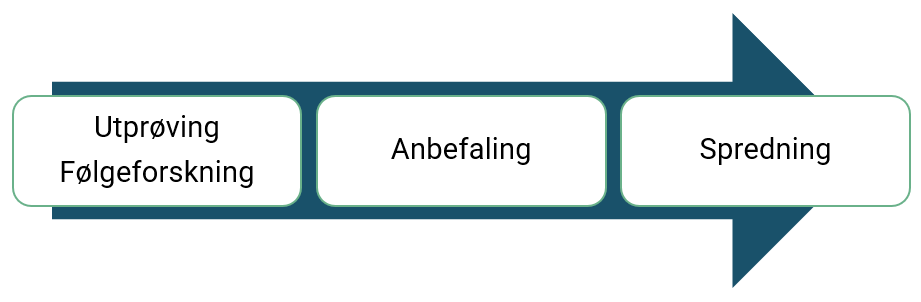 Metodikken som overordnet sett har vært fulgt i Nasjonalt velferdsteknologiprogram