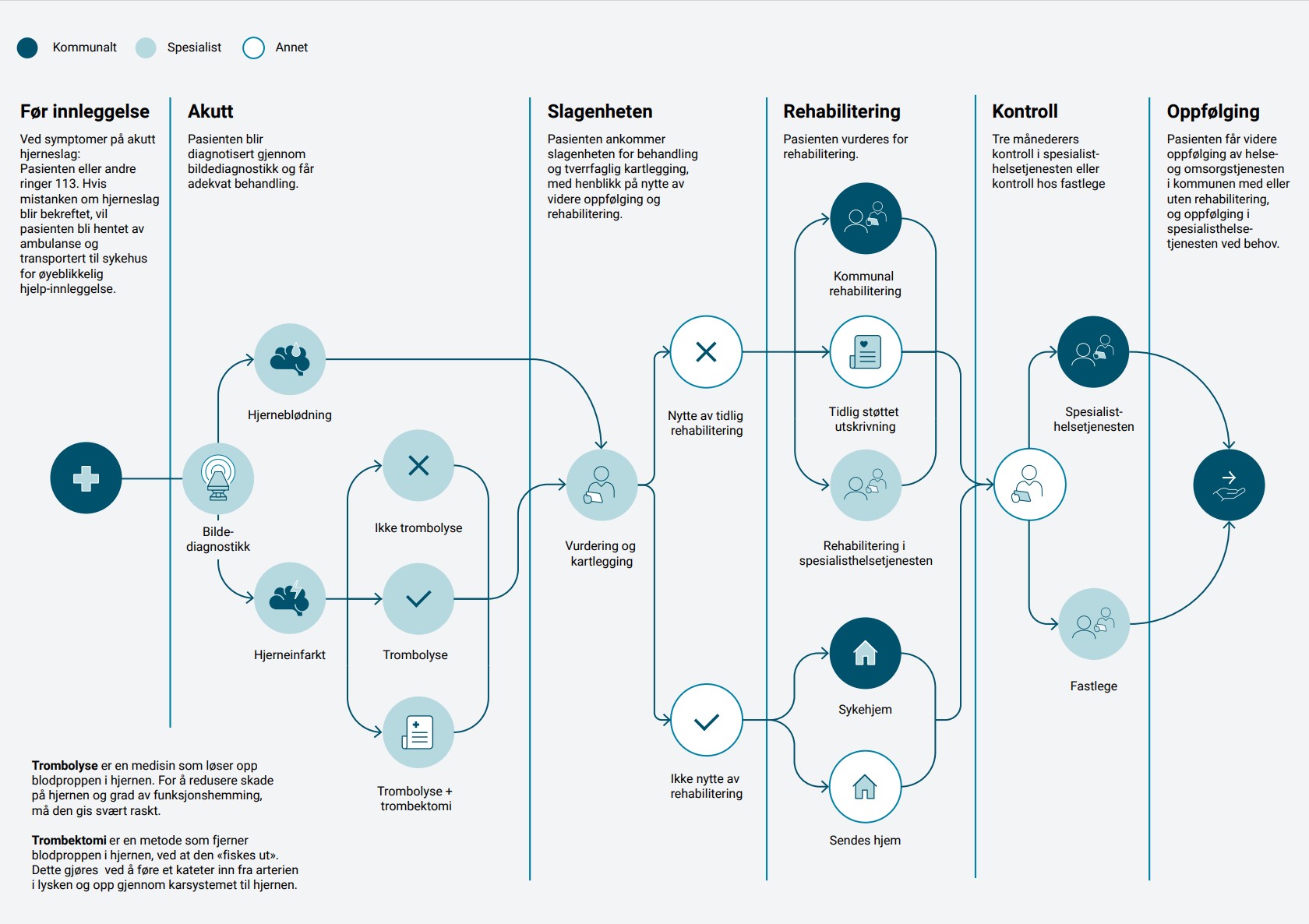 Bilet av hele pasientførløpet, fra før innleggelse, akutten, hos slagenheten, i rehabilitering, på kontroller og oppfølging. I disse stadiene er det samarbeid mellom kommunalt og spesialisert helsetjenester.