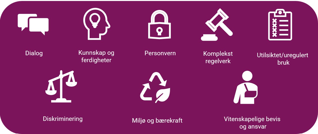 Grafisk fremstilling av risikoene dialog, kunnskap og ferdigheter, personvern, komplekst regelverk, utilsiktet eller uregulert bruk, diskriminering, miljø og bærekraft og vitenskapelige bevis og ansvar.