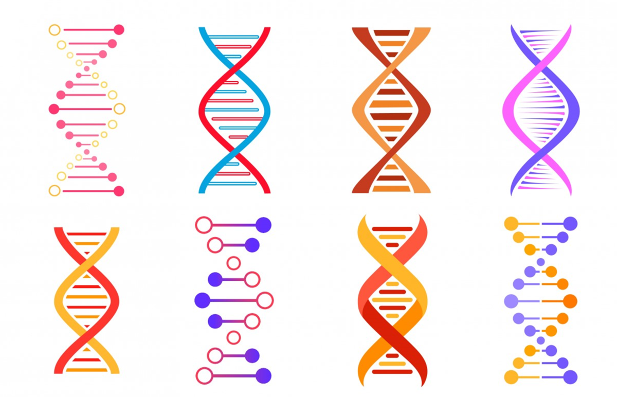 Illustrerende bilde: DNA