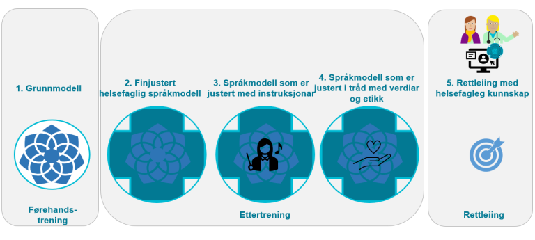 Steg 5: Veiledning med helsefaglig kunnskap