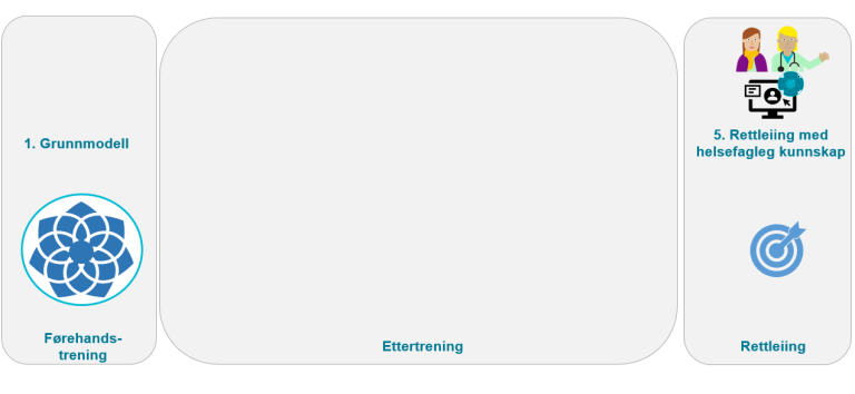 Alternativ 4: Berre helsefagleg rettleiing av ein grunnmodell
