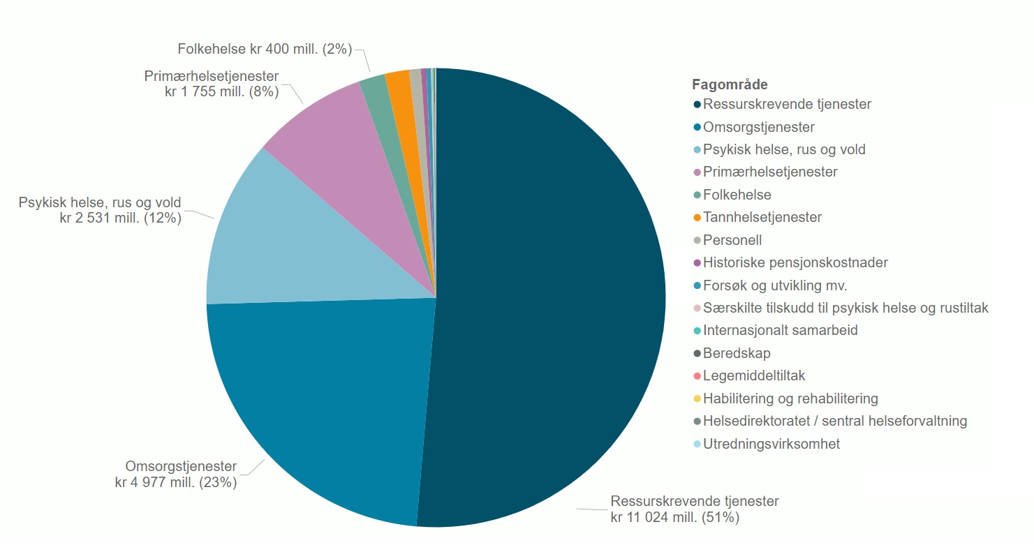Figur 1 Tilskuddsbudsjettet i 2021 fordelt på fagområder (prosentvis andel)