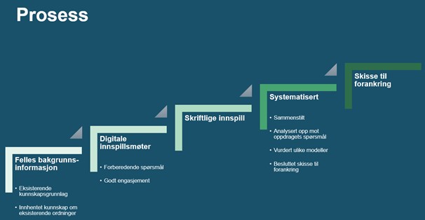 Figur 2: Prosessen i utredningsoppdraget