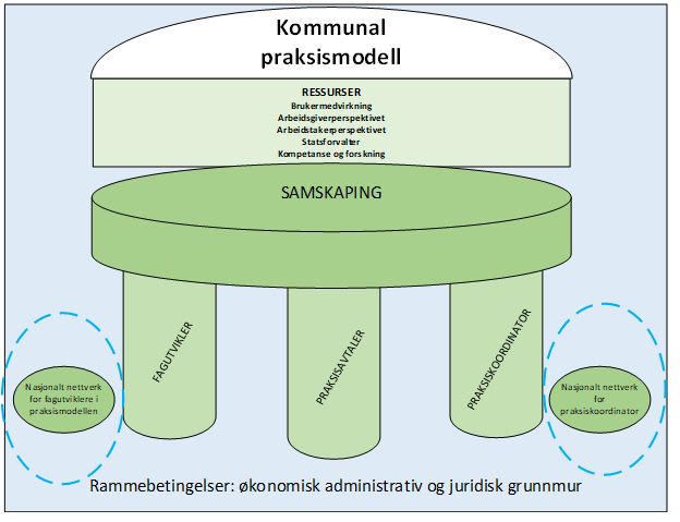 Figur 7: Nasjonale nettverk for fagutvikler og praksiskoordinator