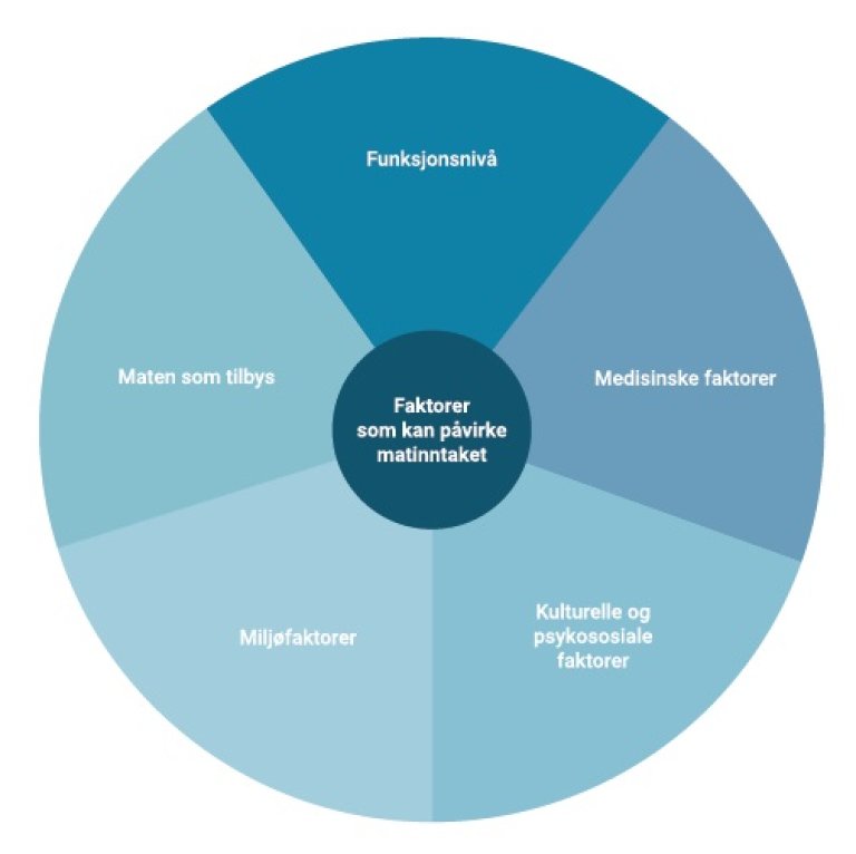 Sirkel_faktorer_matinntak.jpg