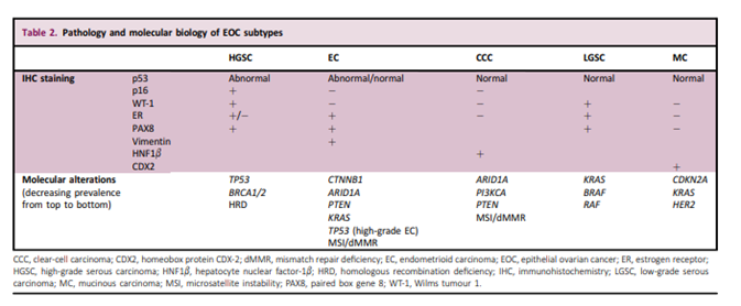 Tabell 1. Molekylærbiologiske markører for de ulike EOC subgrupper. Gjengitt etter González-Martín et al. (2023). Copyright 2023 Elsevier. Gjenngitt med tillatelse. 