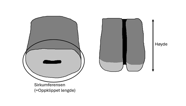 Figur 3: Orientering av kon preparat før oppklipping