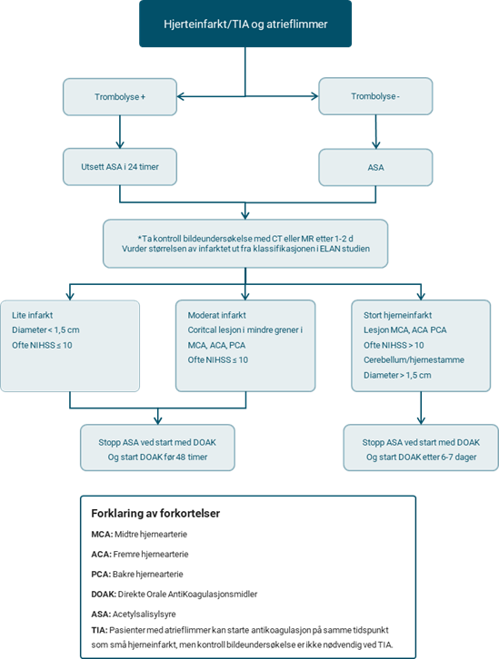 Flytskjema modifisert etter ref: M e Hindsholm et an . Management and prognosis ogf acute stroke in atrial fibrillation. J clin med 2023