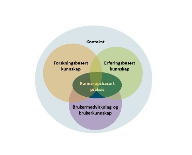 Kjønnsinkongruens - illustrasjon som viser hovedelementene i kunnskapsbasert praksis.jpg