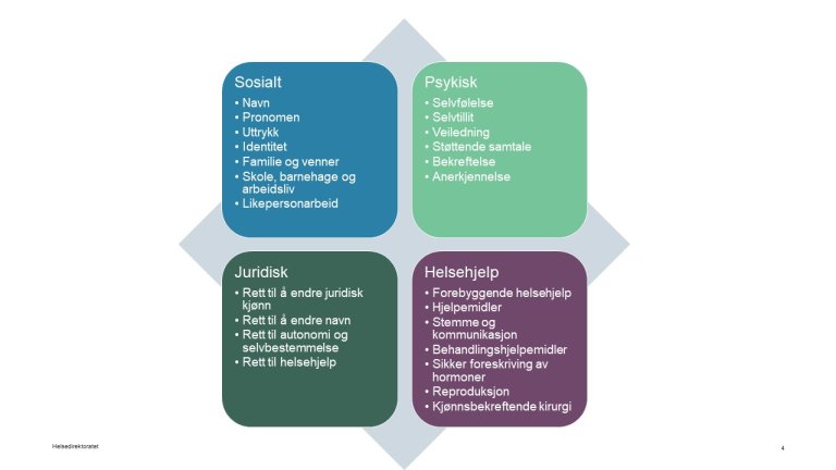 Kjønnsinkongruens - Områder som inngår i helhetlig tilbud til personer med kjønnsinkongruens.JPG