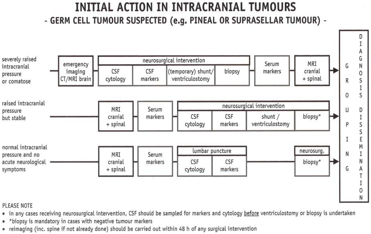 Kreft hos barn - figur 2 svulster i sentralnervesystemet .png