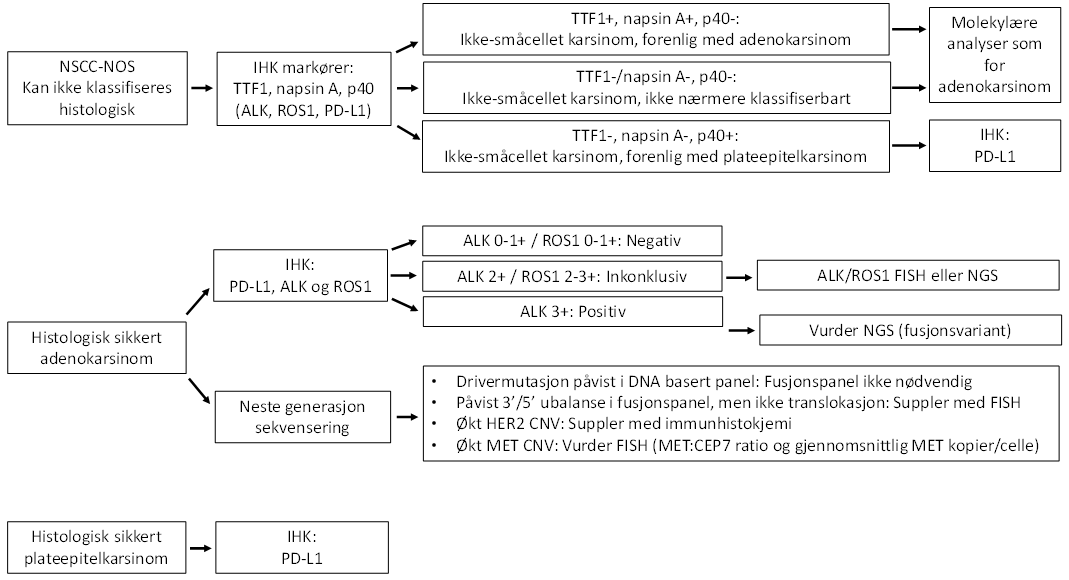 Figur 14 Testalgoritmer for immunhistokjemiske undersøkelser og molekylære analyser i små biopsier/cytologiske prøver