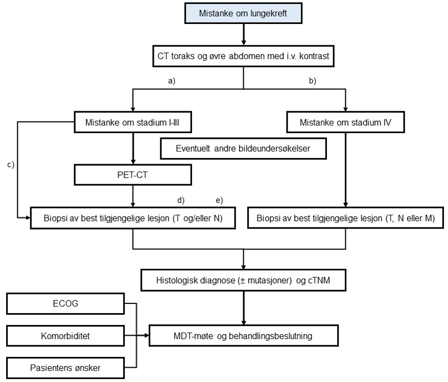 Figur 8 Skjematisk oppsummering av utredning av lungekreft