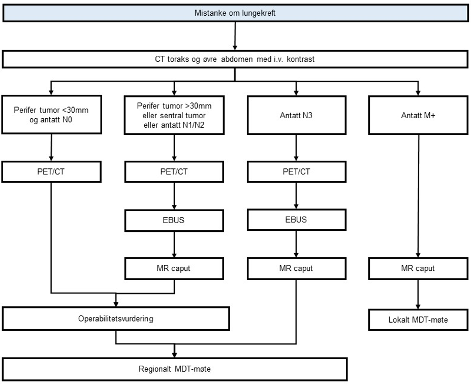 Figur 9 Forslag til utredningsalgoritme