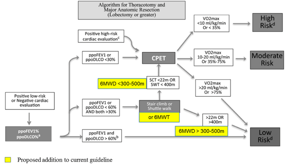 Figur 10 Algoritme for vurdering av operabilitet hos pasienter uten annen alvorlig komorbiditet. Figur hentet fra (Ha et al., 2016).