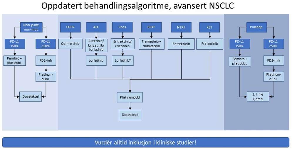 Figur 21 Behandlingsalgoritme for medikamentell behandling av avansert ikke-småcellet lungekreft. Legg merke til at algoritmen inkluderer behandlingsopplegg som ikke er vedtatt innført i Nye Metoder (markert med prikkede linjer).