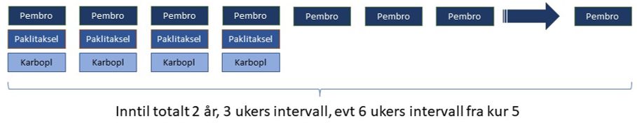 Figur 20 Kombinasjonsbehandling med immunterapi og kjemoterapi for plateepitelkarsinom