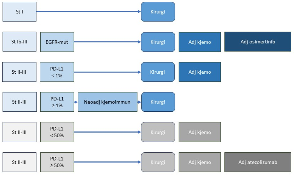 Figur 15 Skjematisk oversikt over behandling av pasienter i stadium I-III som er aktuelle for kirurgi og tilleggsbehandling. Grå bokser viser behandlingsmulighet om neoadjuvant kjemoimmunterapi ikke velges.