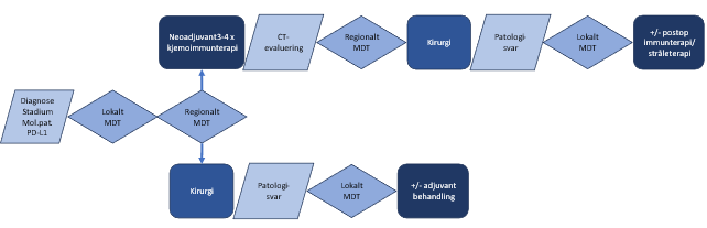 Figur 16 Oversikt over forløp ved valg av neoadjuvant og/eller adjuvant behandling