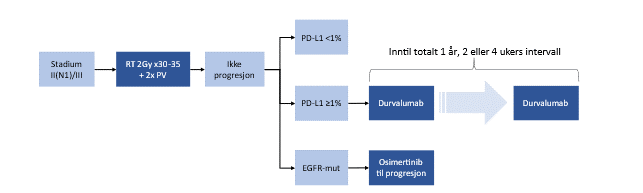 Figur 17 Behandling for inoperabel stadium II(N1)/III ikke-småcellet lungekreft