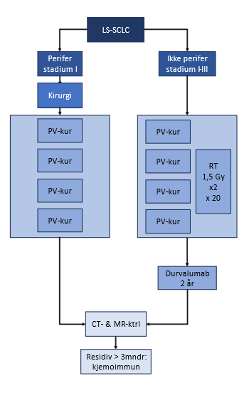 Figur 22 Algoritme for behandling av LS-SCLC
