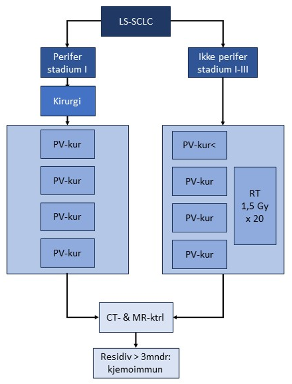 Figur 22 Algoritme for behandling av LS-SCLC